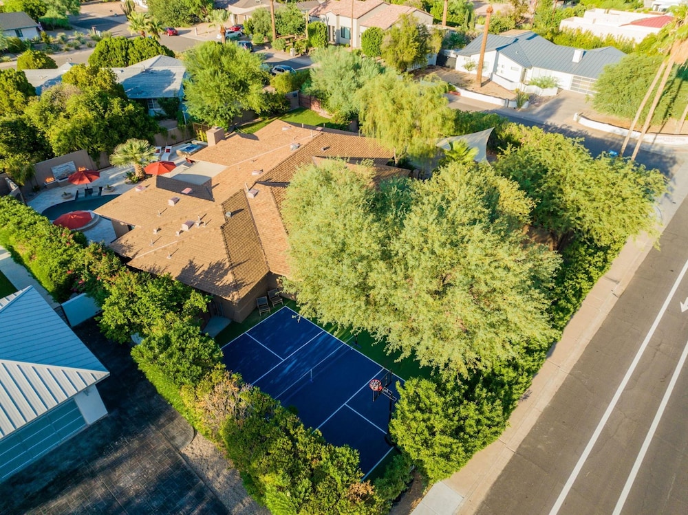 Chaparral in Paradise Valley
