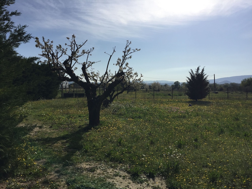Zocalo Ranch