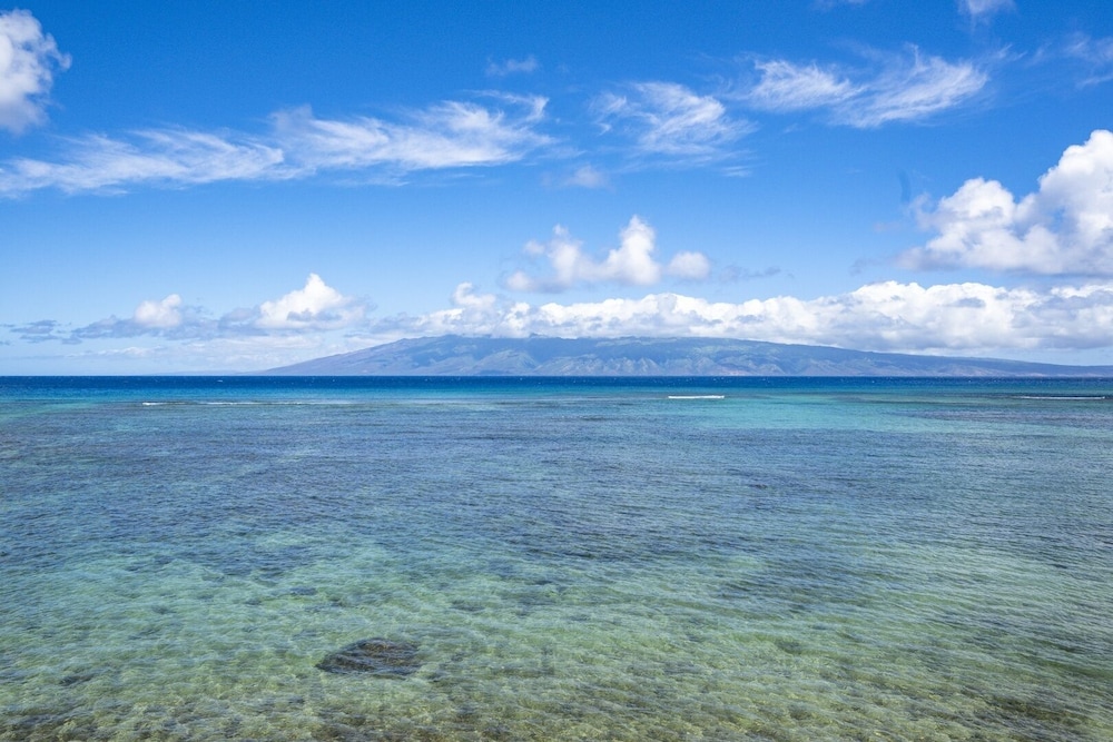 Kahana Reef 320
