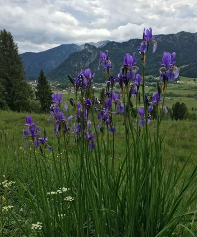 Holiday Home in Oberammergau
