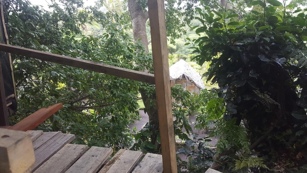 Castle Tree House