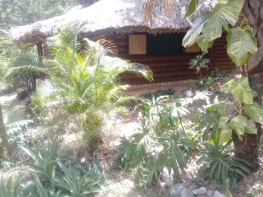 Photo 13