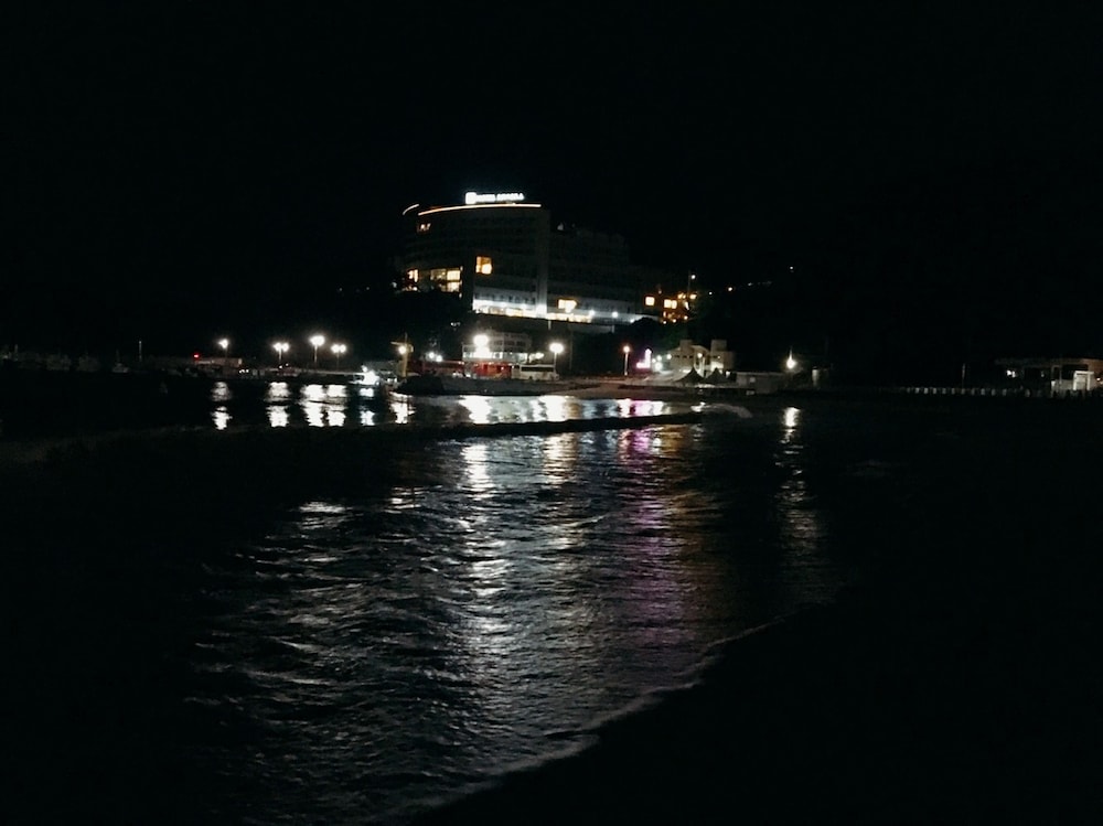 Photo 46