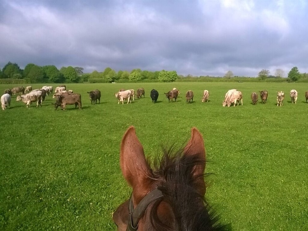 Battens Farm Cottages - B&B and Self-catering Accommodation