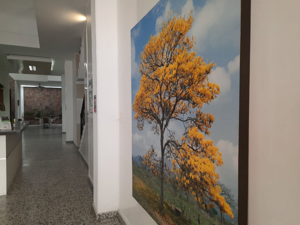 Hotel El Flor Amarillo - Property Image 10