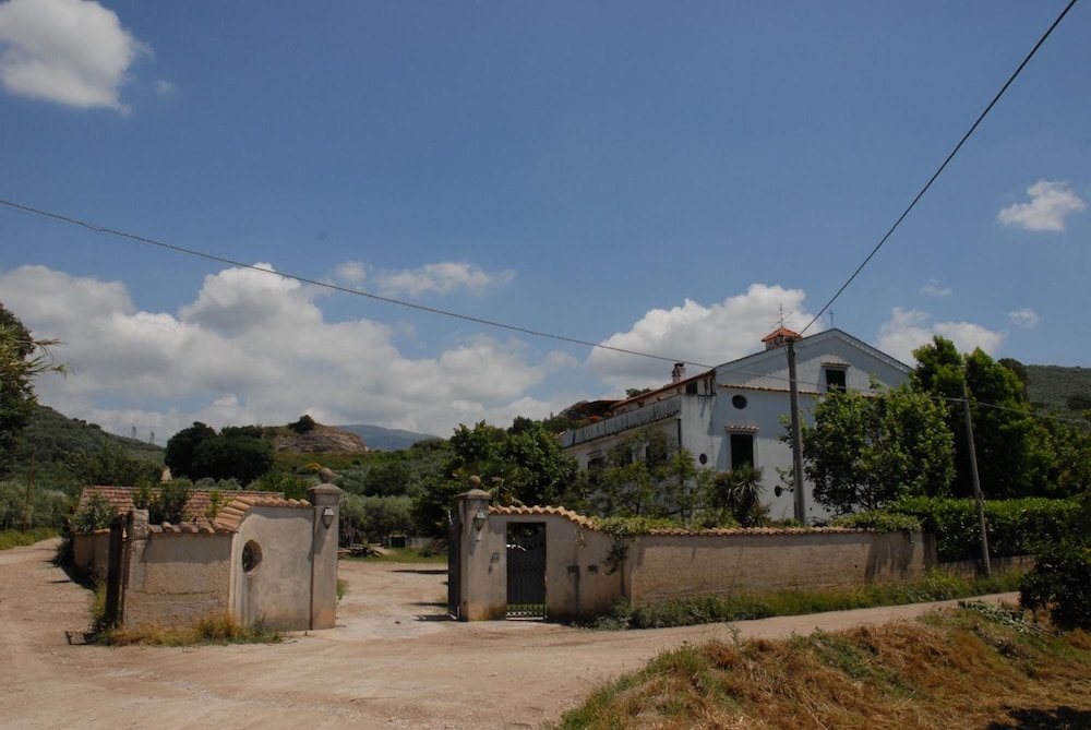 Photo 20