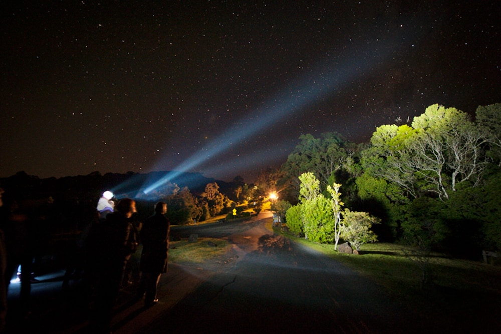 Binna Burra Sky Lodges 40