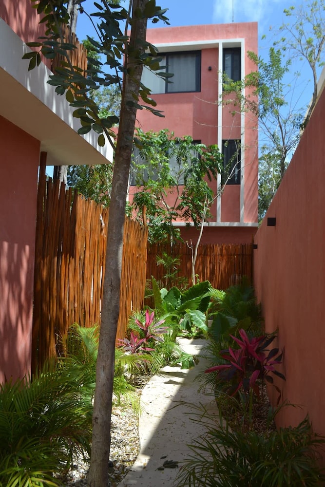 Casa Agave Peaceful Retreat in the Mayan Jungle
