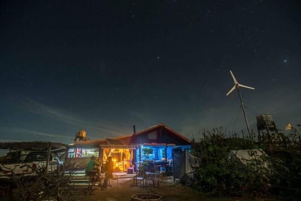 Lobo Hostel Bar