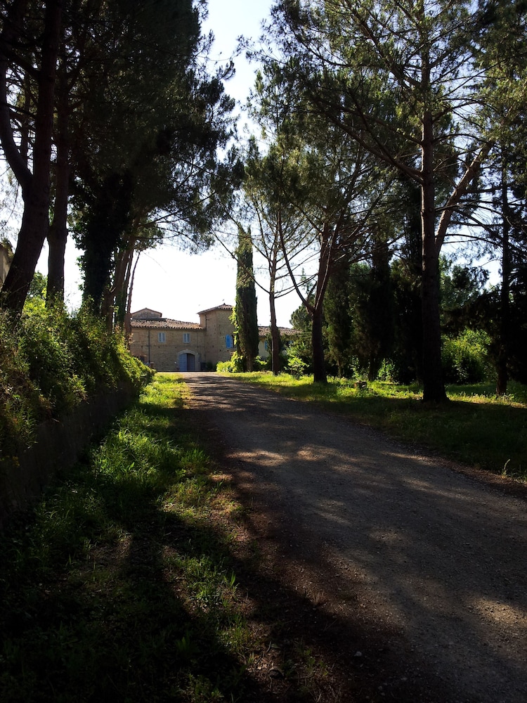 Bassetto Guesthouse & Apartments