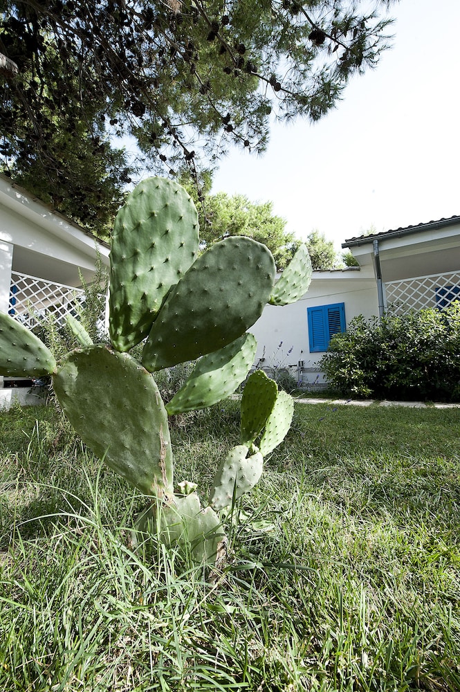 Villaggio Le Orchidee