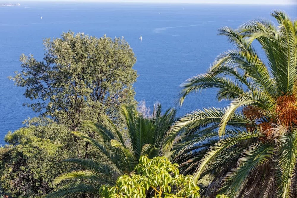 Magnificent Villa With sea View in Theoule sur Mer
