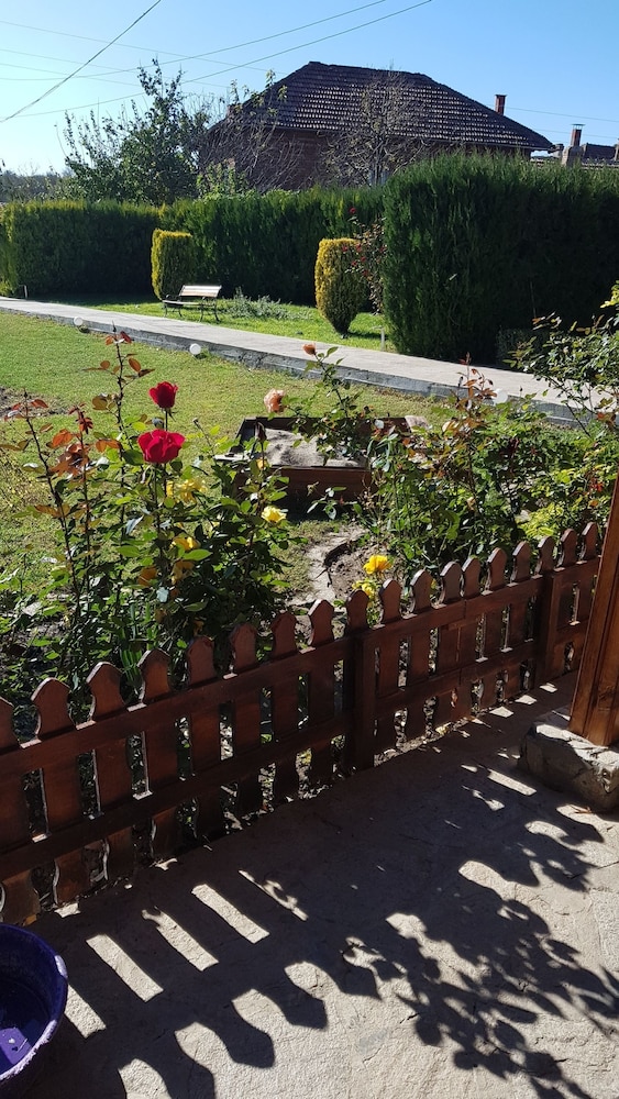 Photo 13