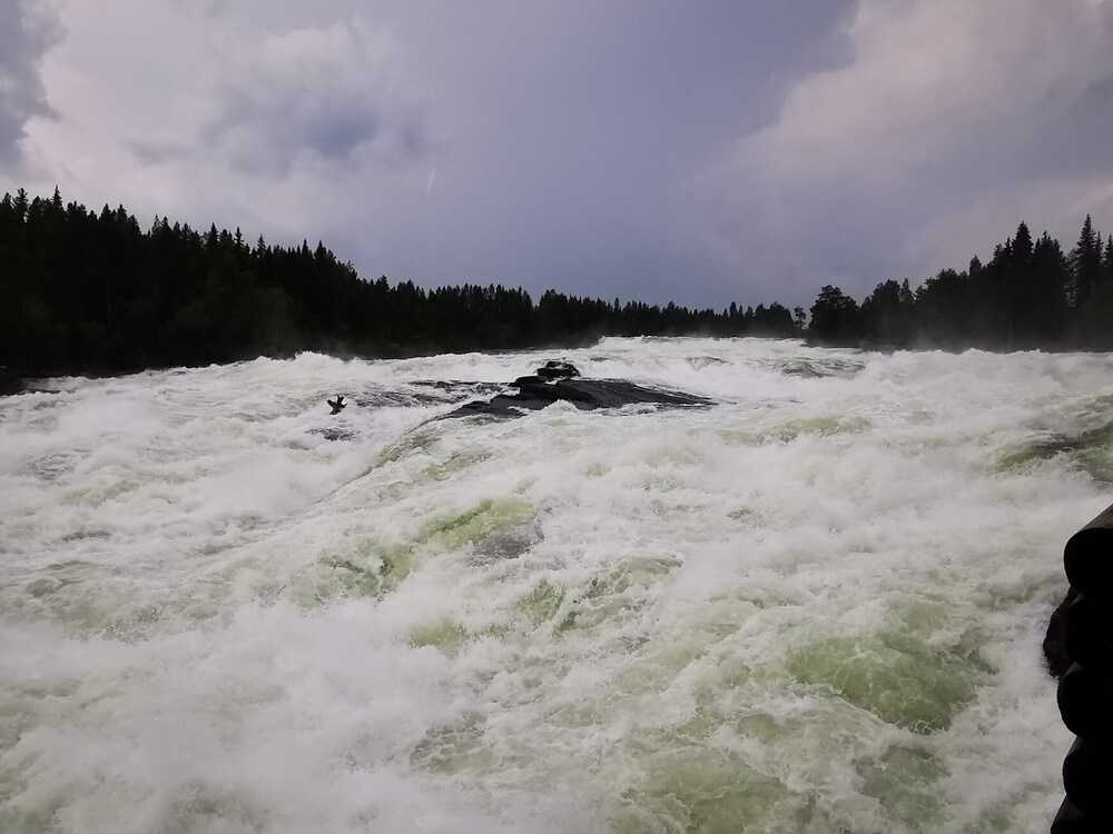 Photo 26