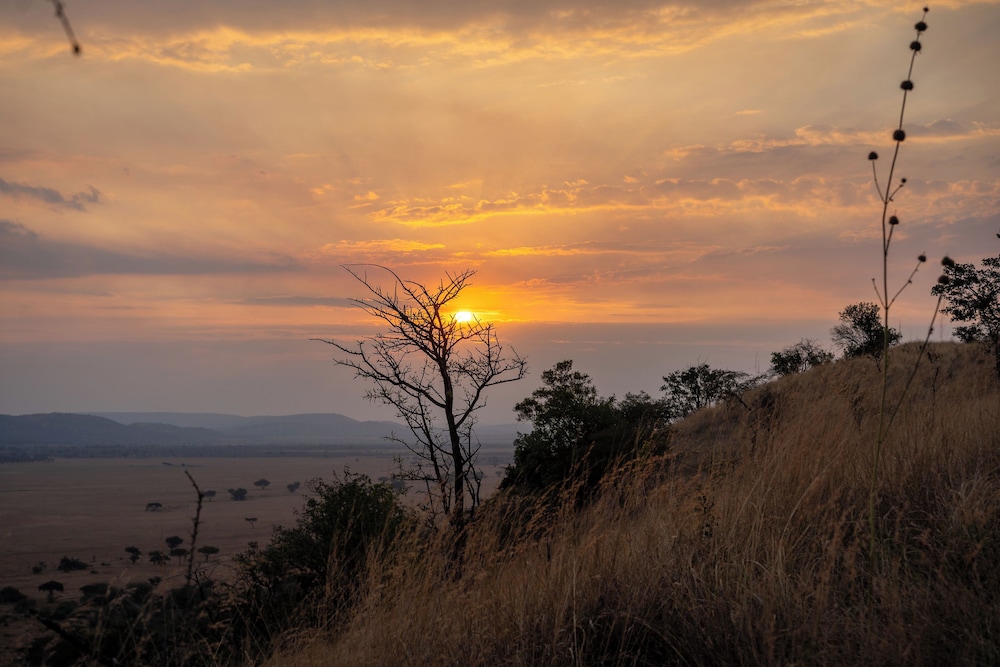 Neptune Serengeti Luxury Tented Camp