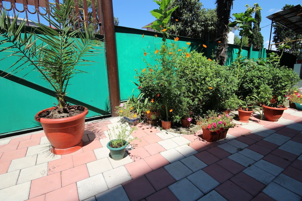 Photo 35