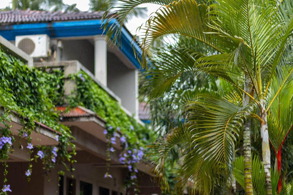 Nexstay Aromiaa Villas - Baga