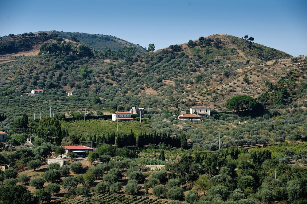 La Collina degli Ulivi - Casa Limoni 1