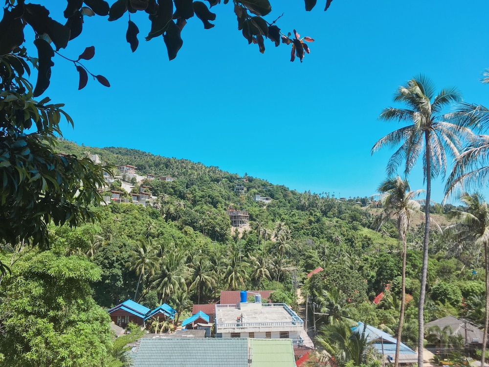 Reggae Village