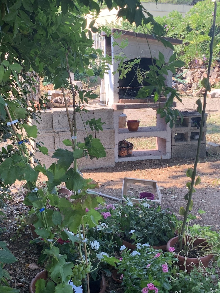 Photo 18
