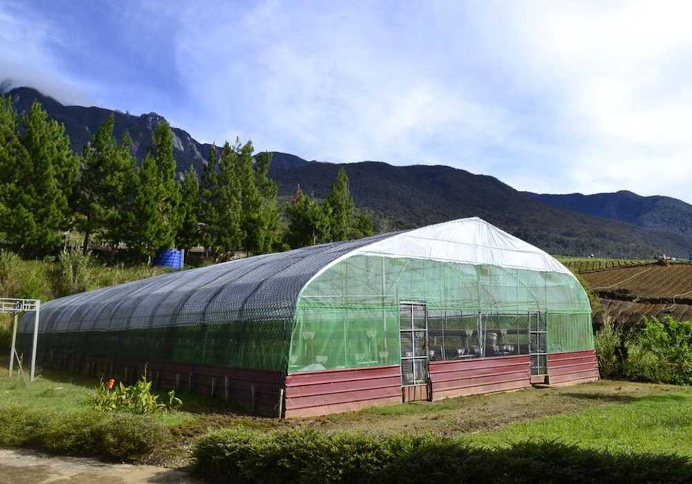 Mesilau Mountain Retreats
