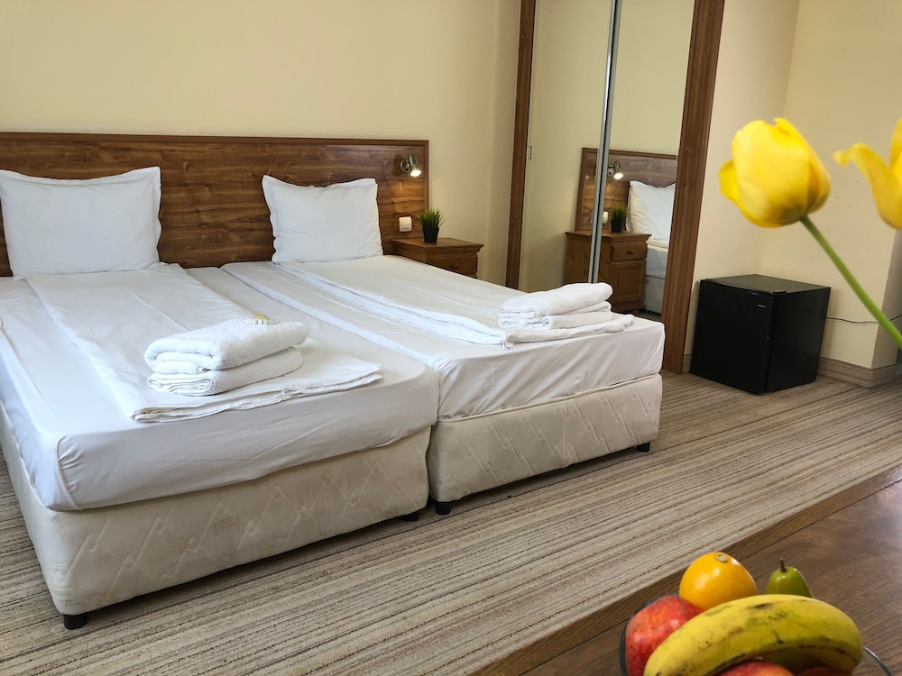 Bansko Vacations - Chateau Vaptzarov Hotel - Property Image 12
