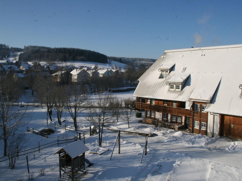 Photo 12
