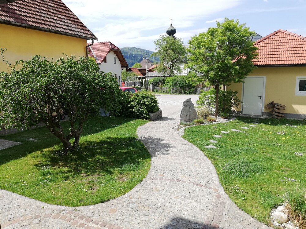 Photo 12