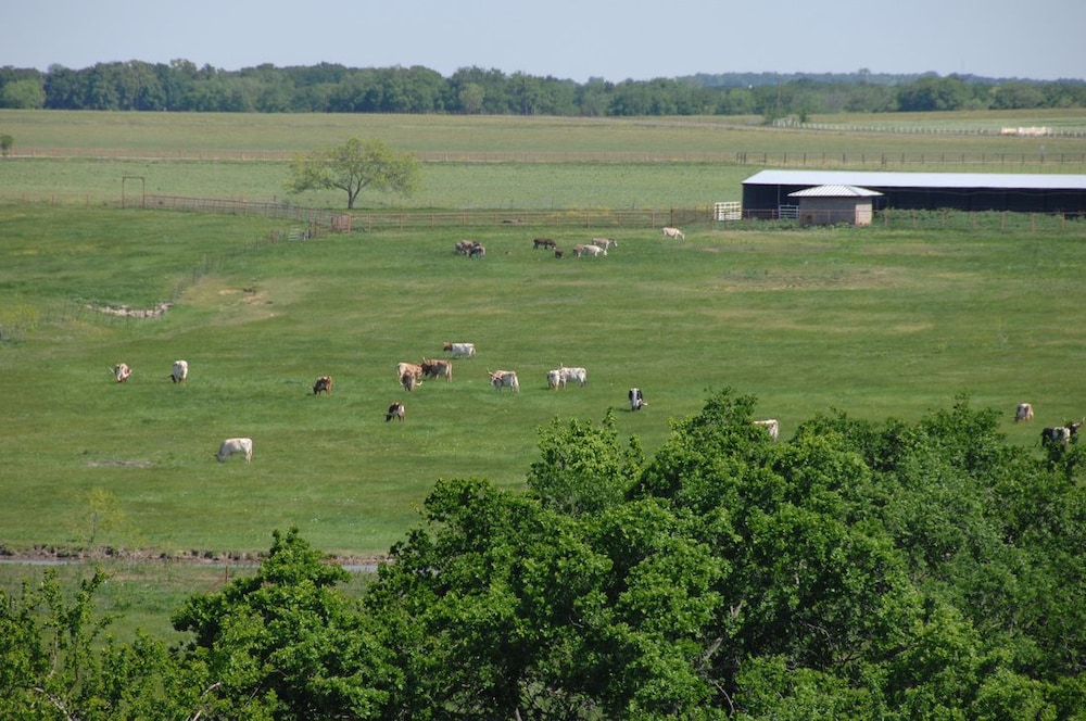 Beaumont Ranch