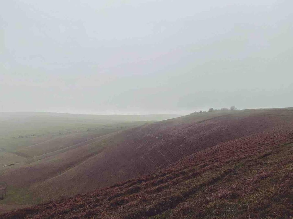 Marlborough Vacations - Perfect Cottage Hideaway in the Divine Pewsey Vale - Property Image 7