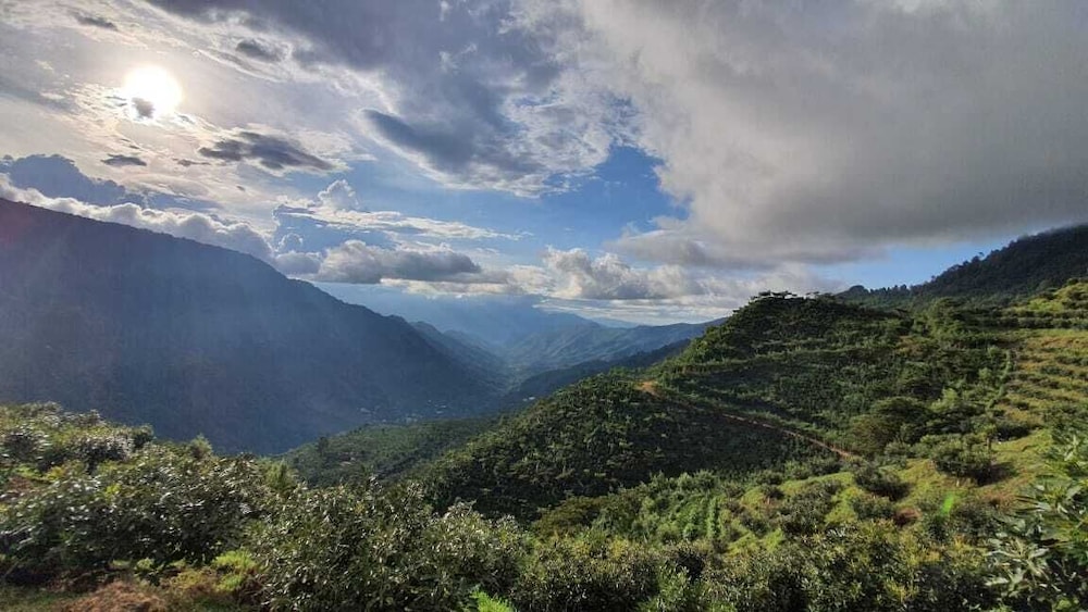 Finca la Reforma view 4