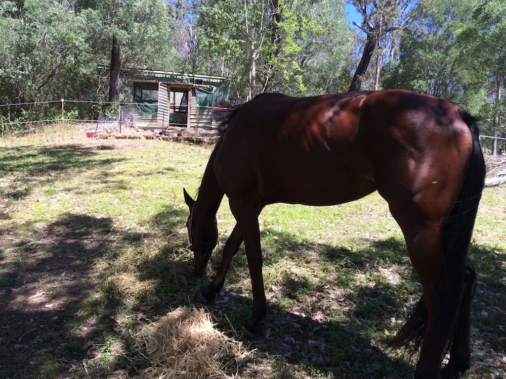 Pearl of Contentment Retreat - Property Image 12