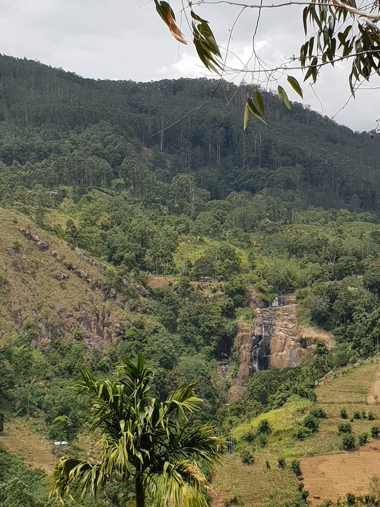 Adannz view