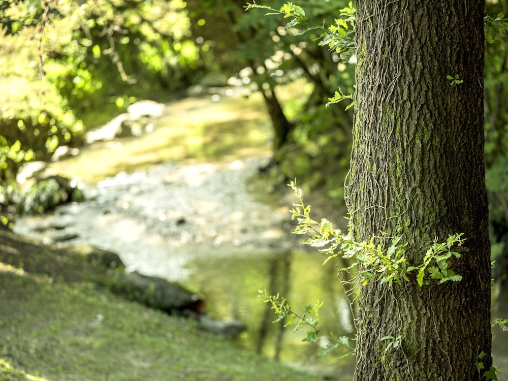 Photo 33