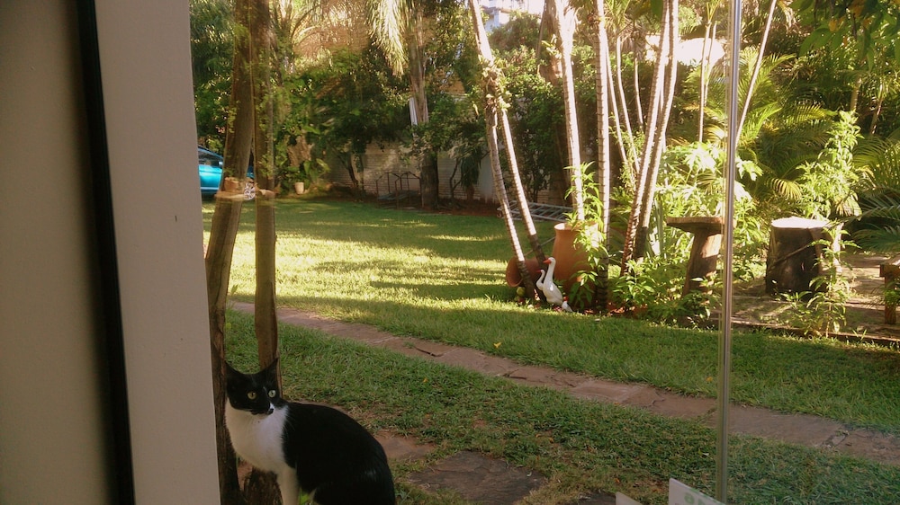 Posada Shalom