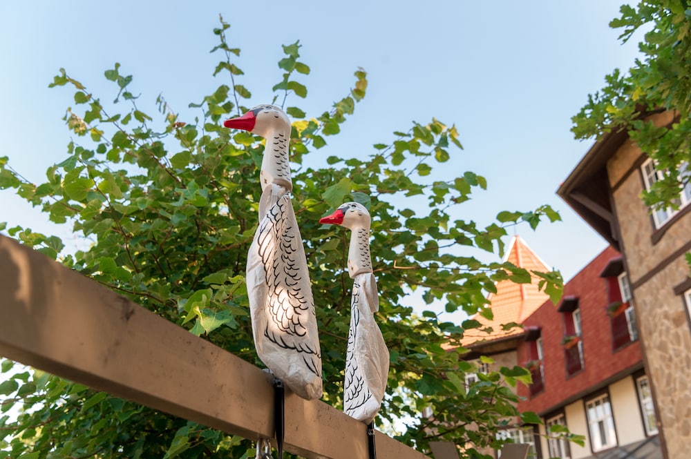 Guest House Blizhnie Dubki