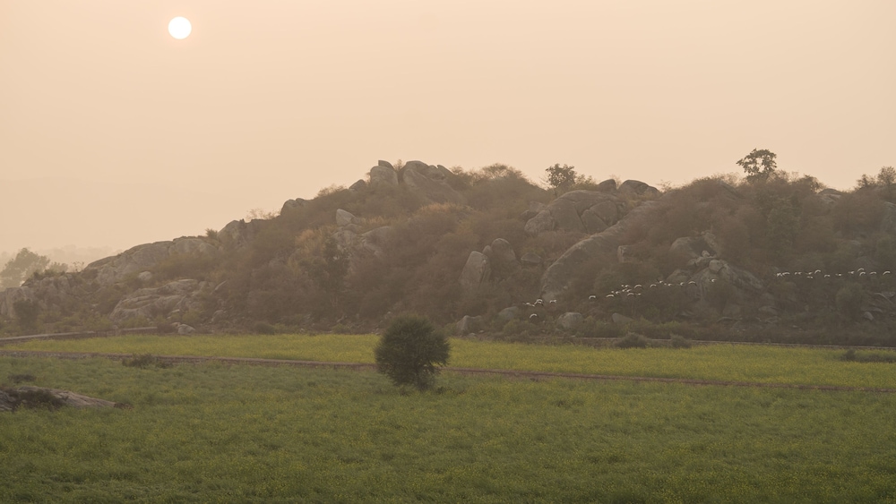 Neem Sarai Sariska