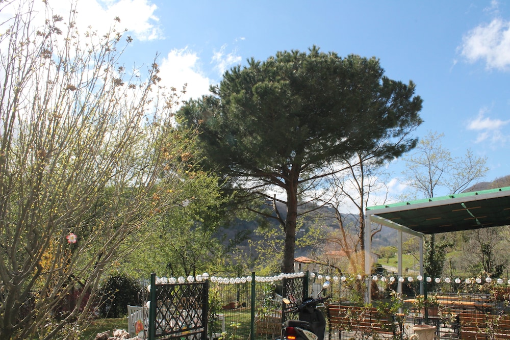 Photo 30