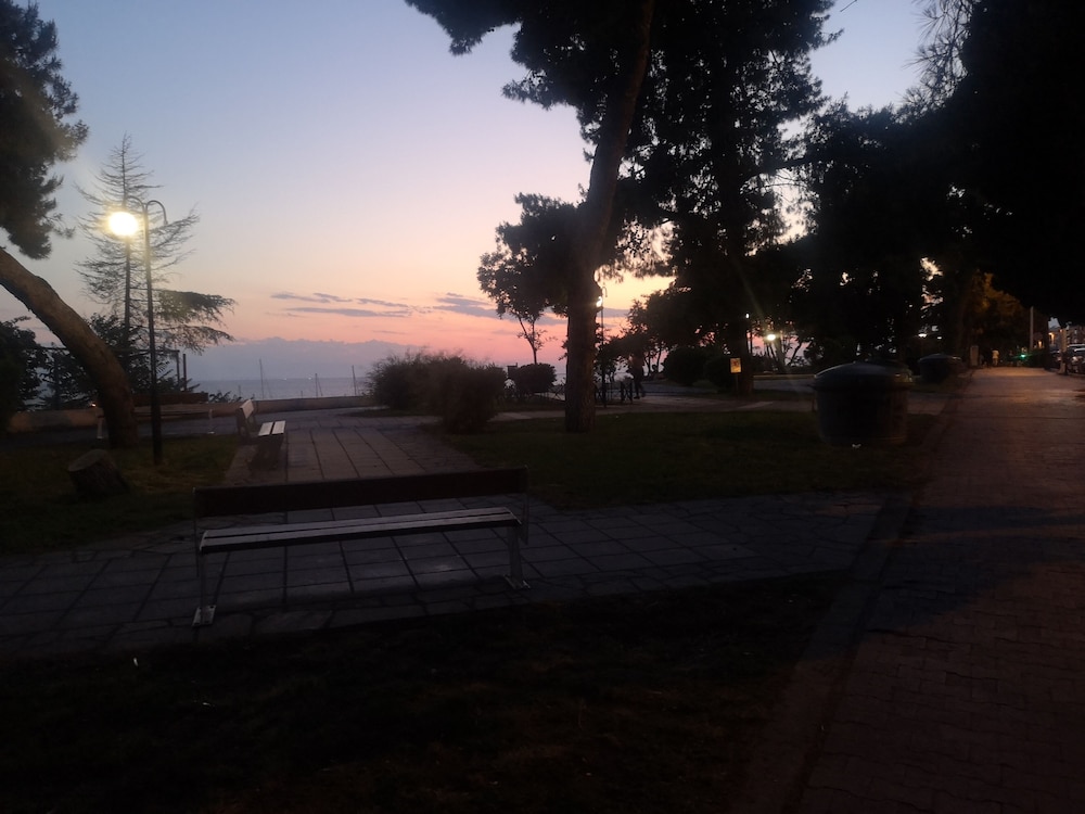 Photo 38