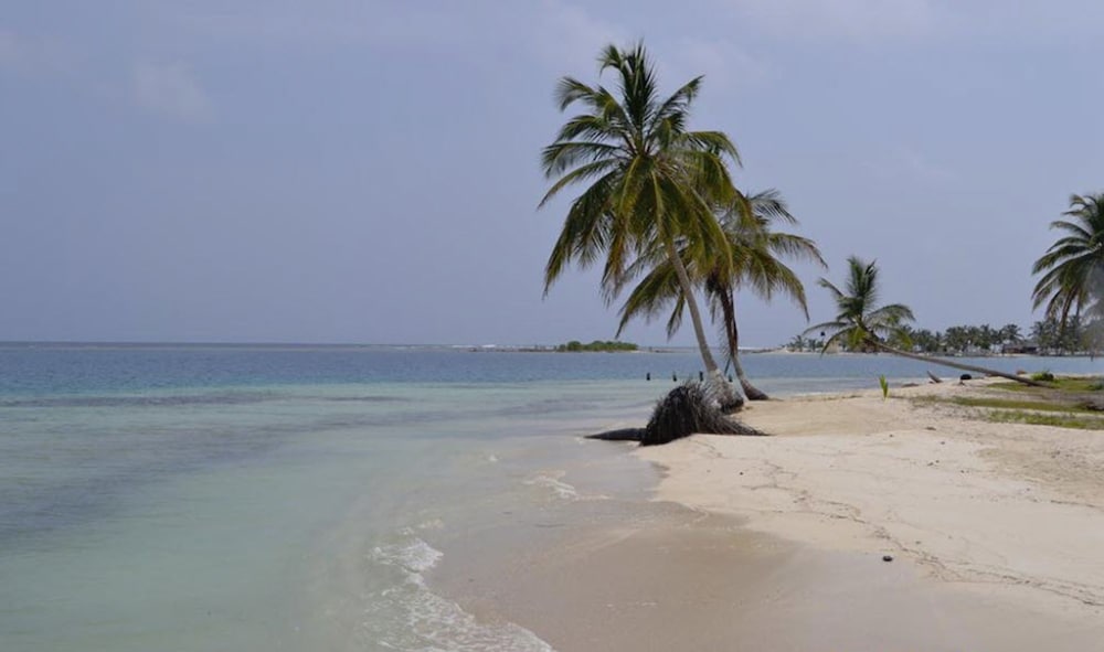 Cabañas Wailidub San Blas