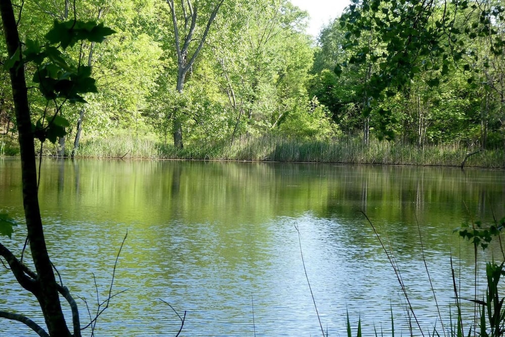 Photo 29
