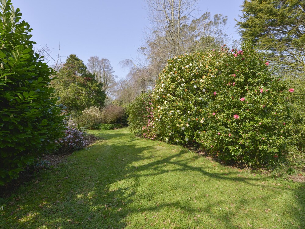 Lily Cottage view 2