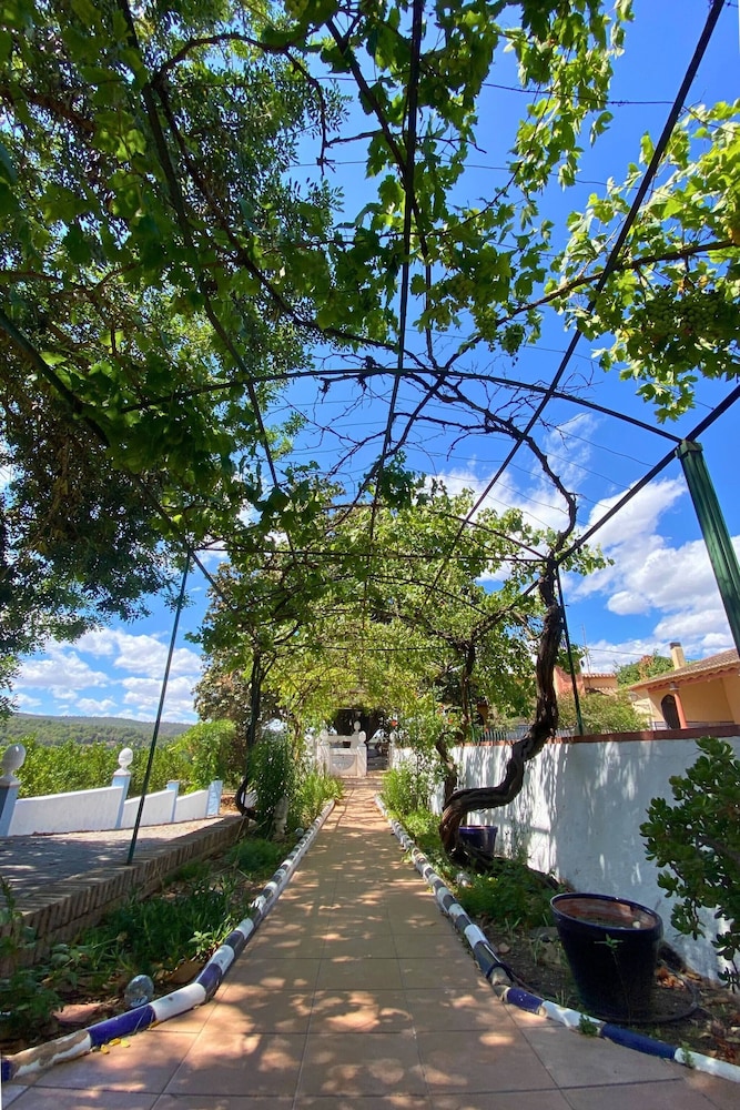 Complete, Spacious House, With Pool and Surrounded by Nature