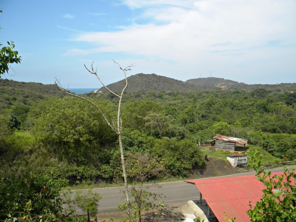Photo 27