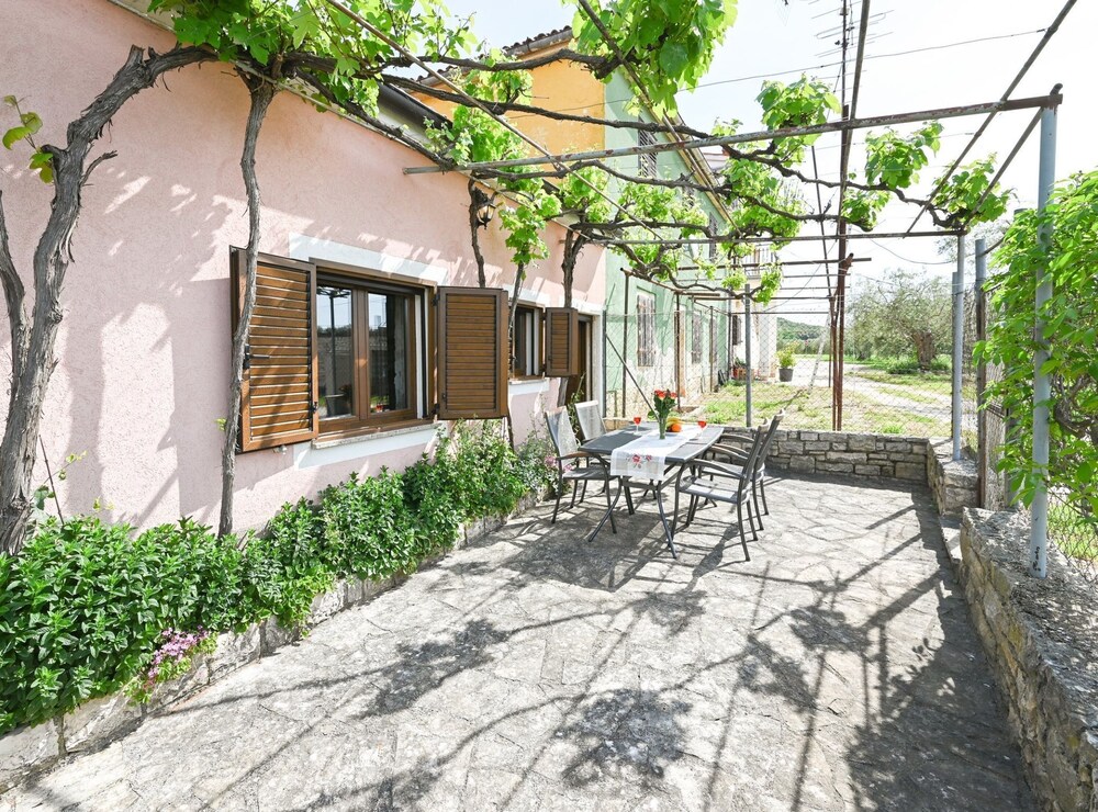 Green and Lush Apartments With Terrace