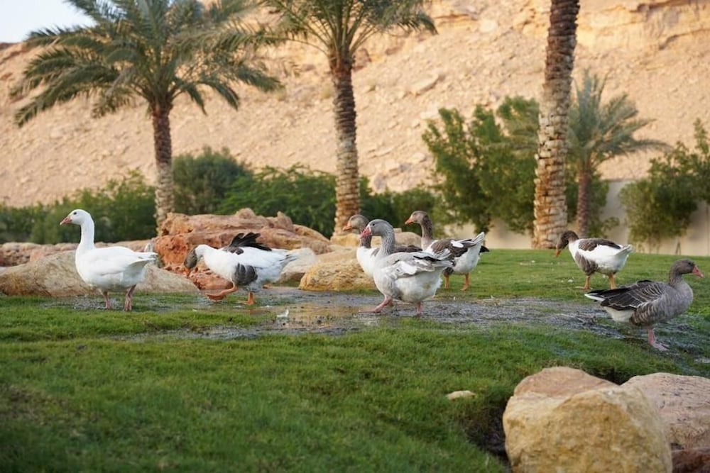 Obeir Resident Hotel