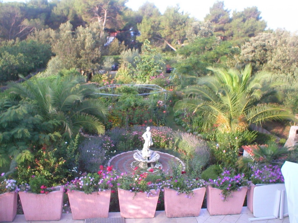 Photo 20