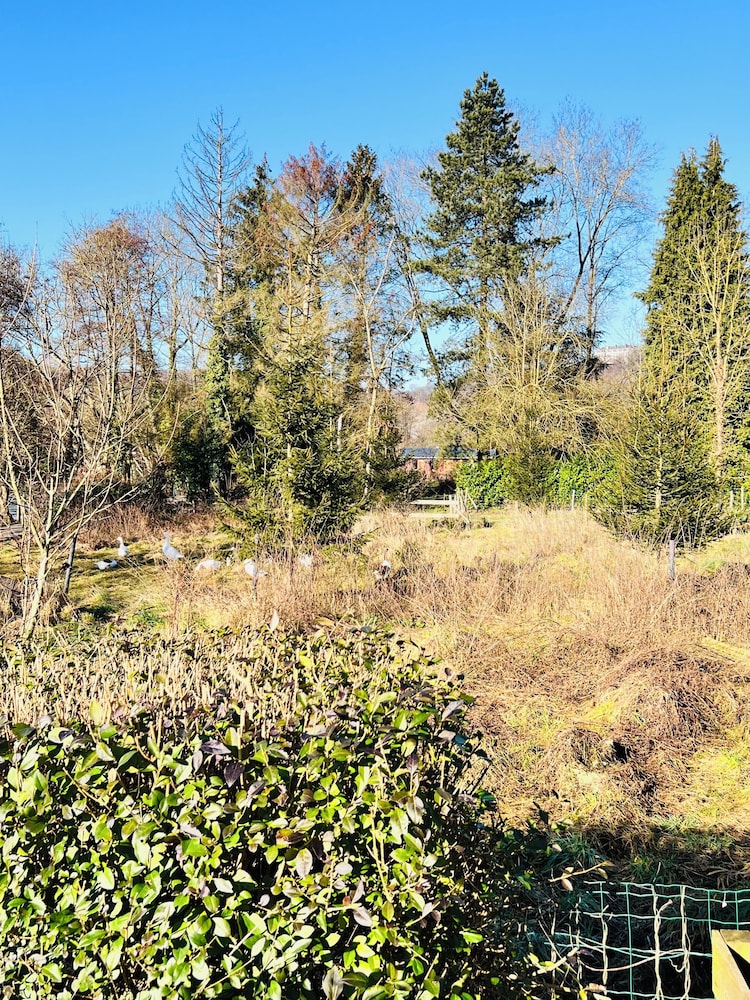 Maison proche rivière avec jardin