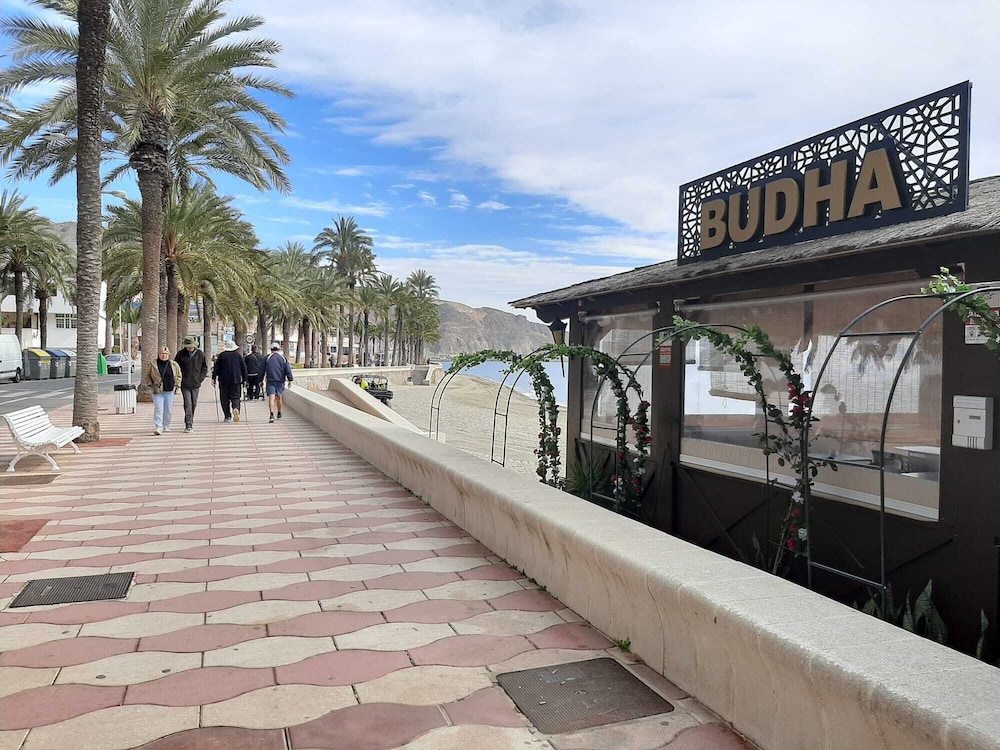 AVILEÑA TROPICAL EN AGUADULCE