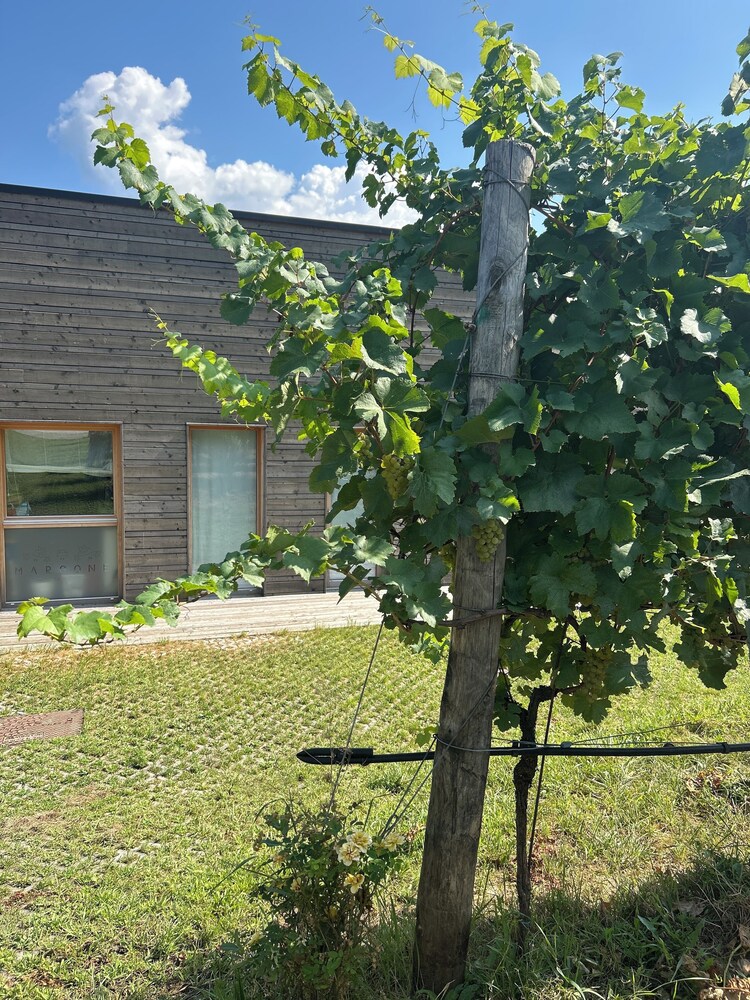Agriturismo Margone